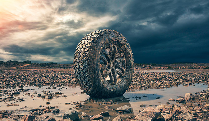 atributos ALT WORDPRESS