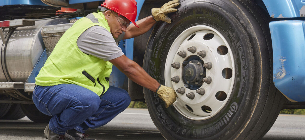 atributos ALT WORDPRESS